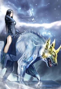 侍婢夺宠：倾国帝王妃